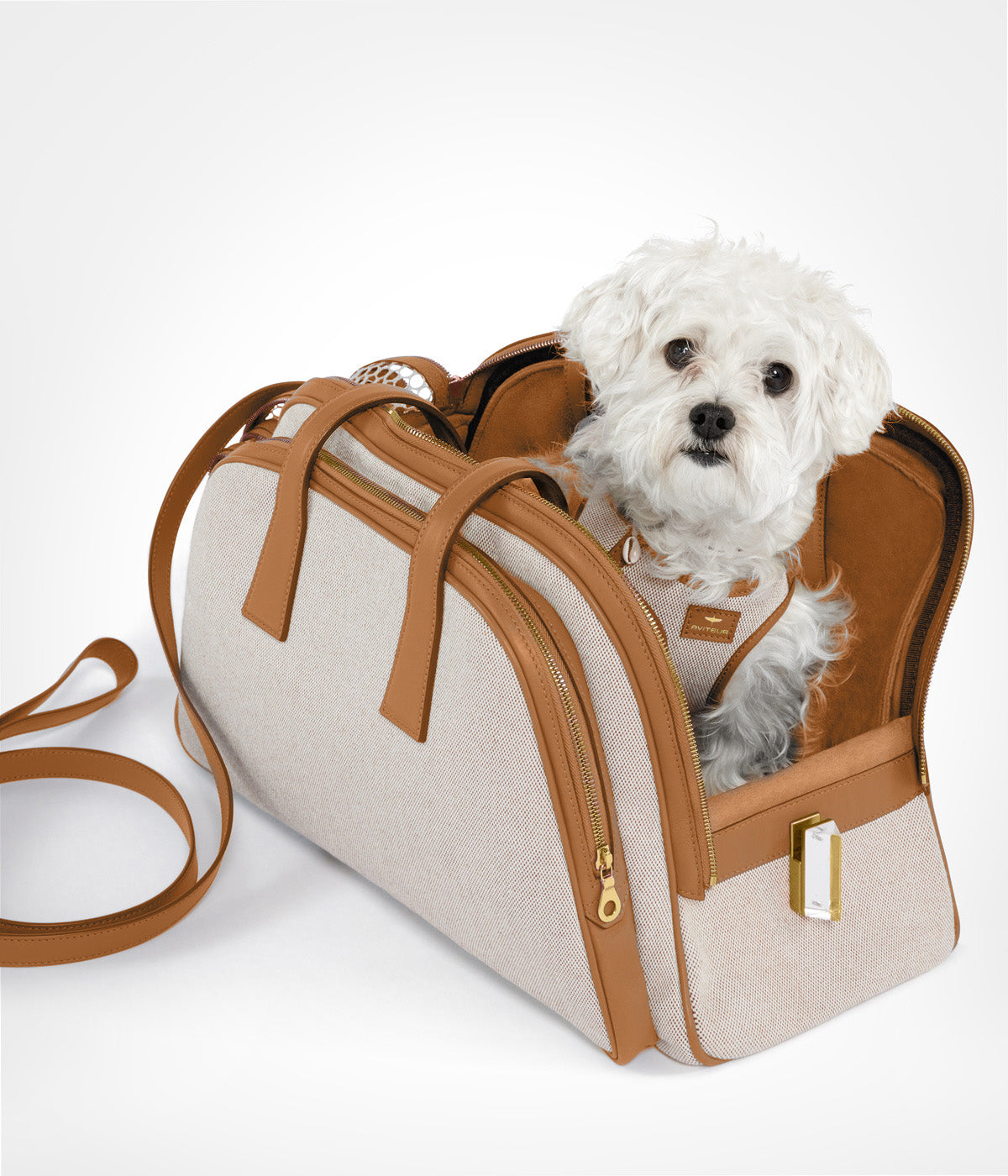 Aviteur leather-trim canvas pet carrier in beige canvas with tan calf leather trim, three-quarter view, open, with a small white dog inside. photograph: Aviteur