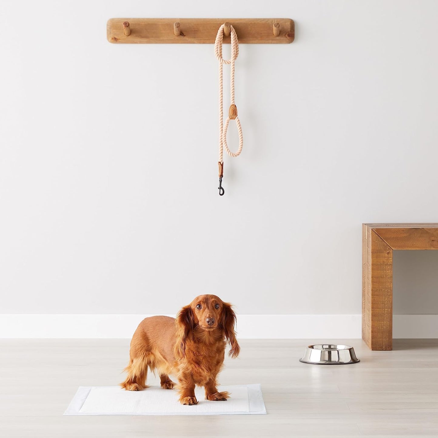 Leak-Proof Quick-Dry Dog and Puppy Training Pads, Standard Absorbency, Regular Size 22 x 22 Inches, Pack of 100, Blue & White