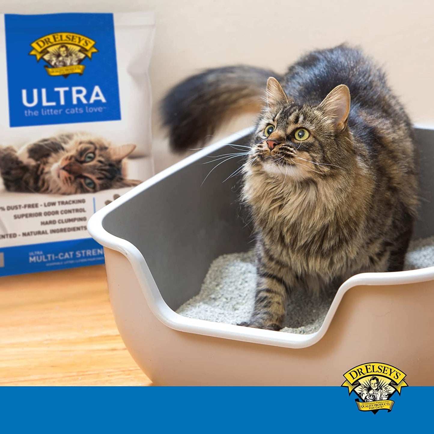 Premium Unscented Cat Litter with Natural Ingredients - Low Dust, Superior Odor Control, Hard Clumping, Moisture Absorbing Clay for Multiple Cats (40 lbs)