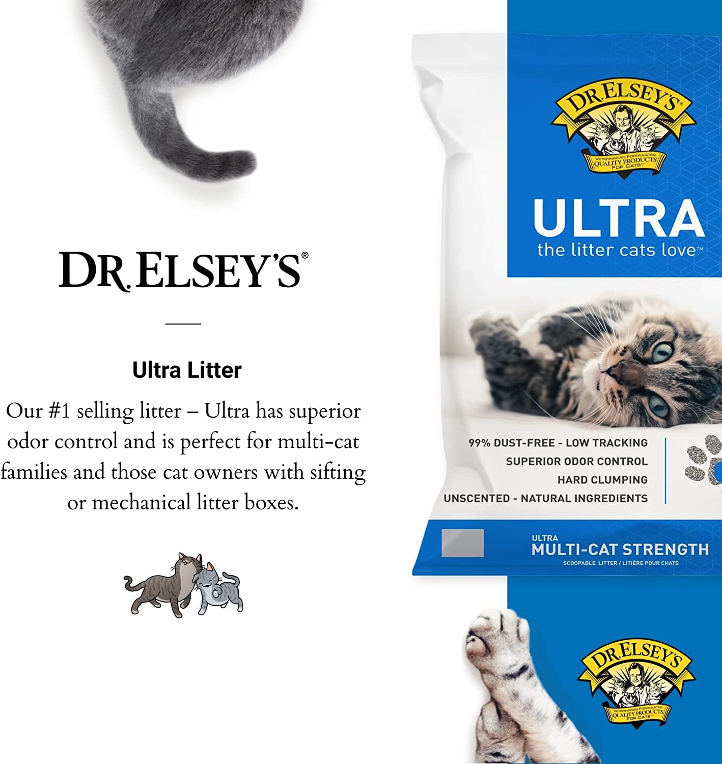 Premium Unscented Cat Litter with Natural Ingredients - Low Dust, Superior Odor Control, Hard Clumping, Moisture Absorbing Clay for Multiple Cats (40 lbs)