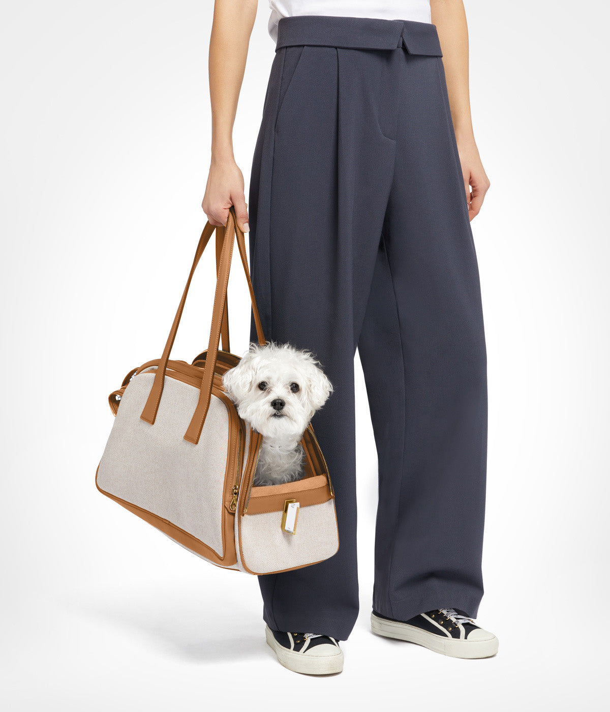 Aviteur leather-trim canvas pet carrier carried by hand, a small white dog looking out, showing its size. photograph: Aviteur