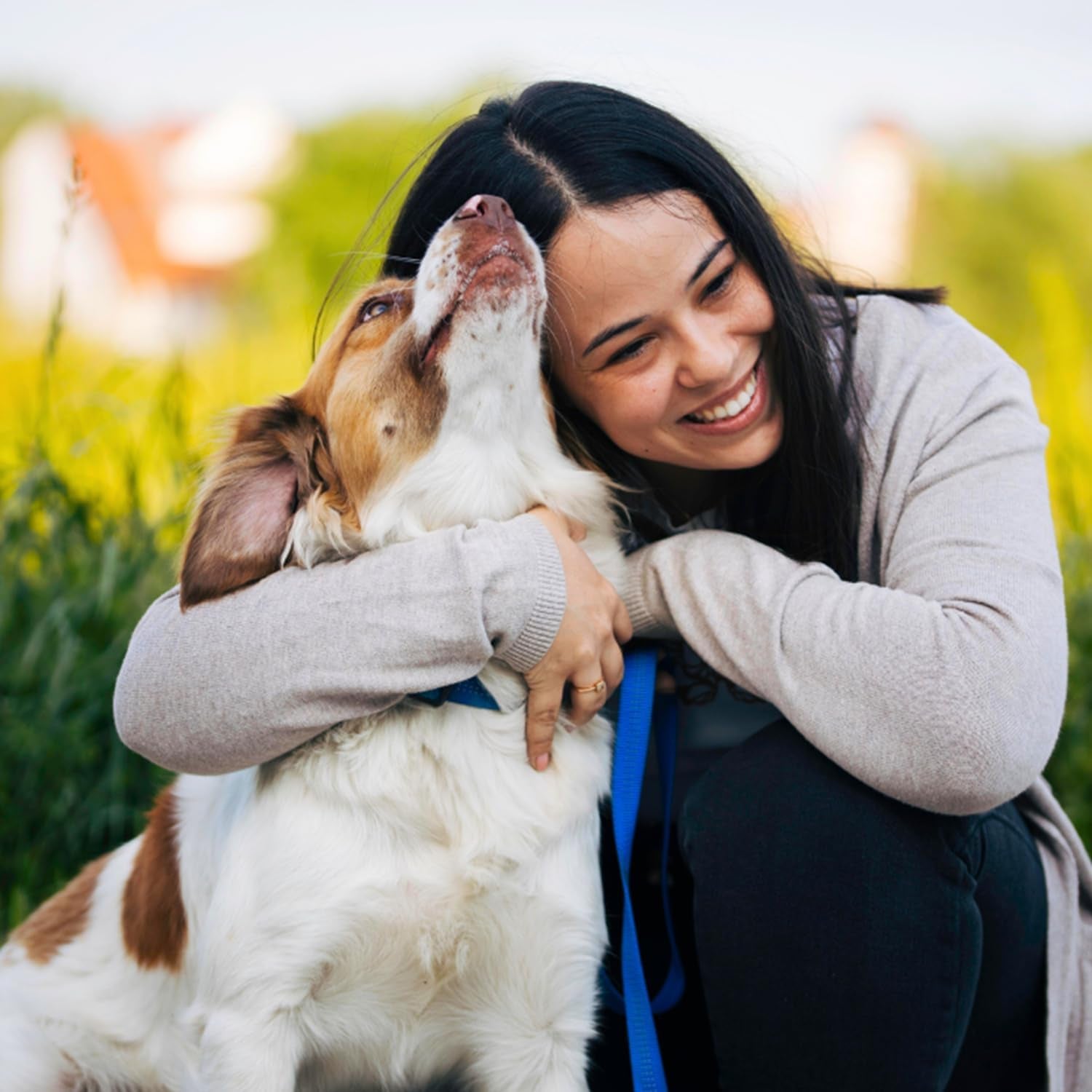 Orthopedic Memory Foam Dog Bed for Large Breeds, Waterproof and Washable Cover, Durable Anti-Slip Design (44" x 35" x 8")
